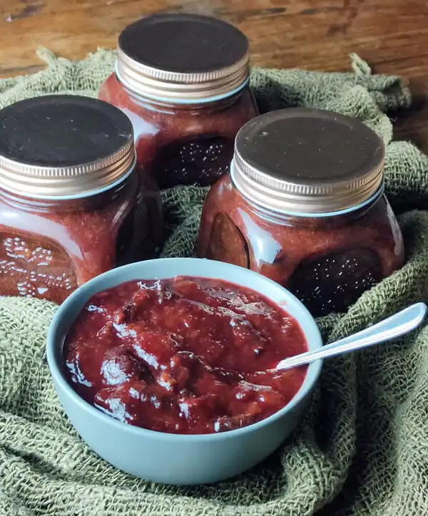 sugar free cinnamon plum jam