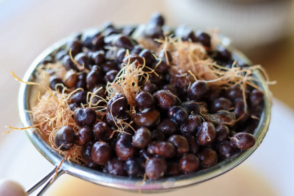 baobab seeds and seed fibers 