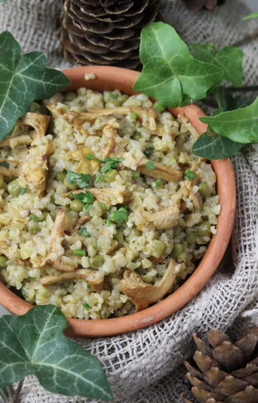 culinary representation of bulgur risotto with chanterelle mushrooms